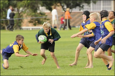 rugby.jpg